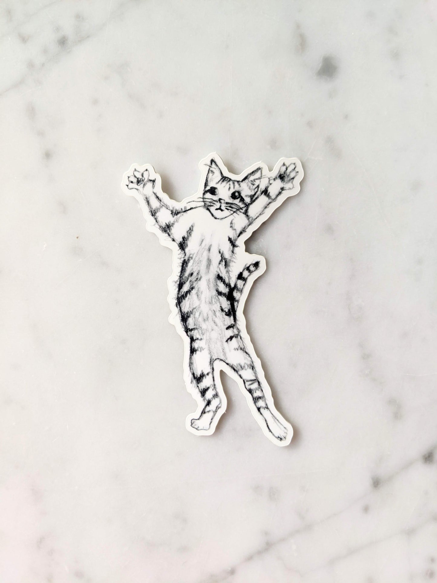 Jumping Kitten Sticker