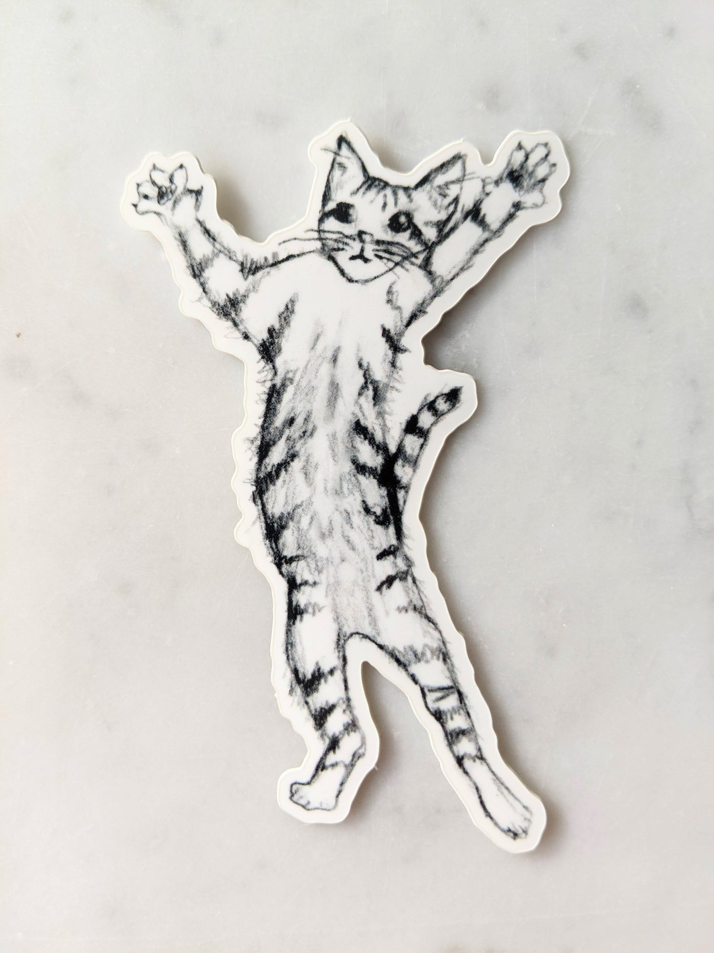 Jumping Kitten Sticker
