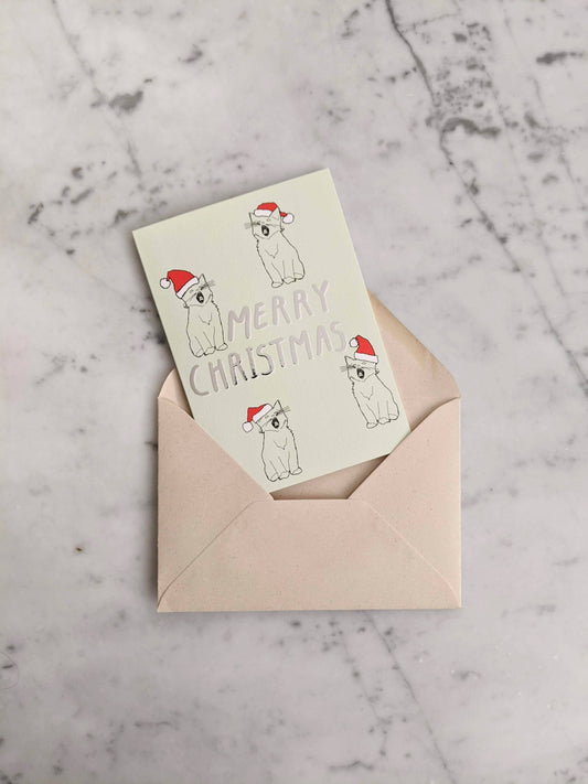 Merry Christmas Kittens Card